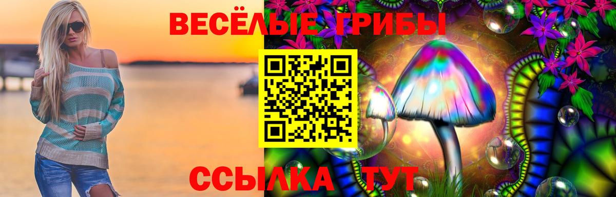 где найти наркотики  Галлюциногенные грибы ЛСД  Вход с VPN  Алатырь 